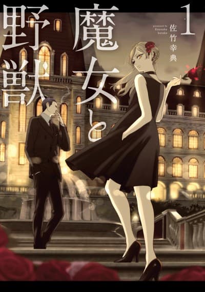 The Witch and the Beast cover