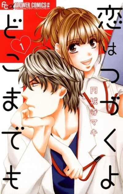 An Incurable Case of Love cover