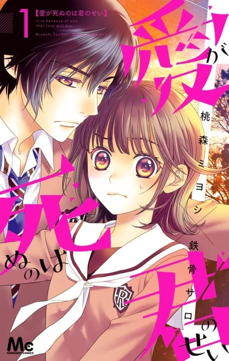 Ai ga Shinu no wa Kimi no Sei cover