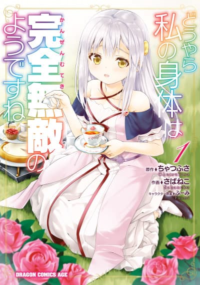 The Invincible Little Lady cover