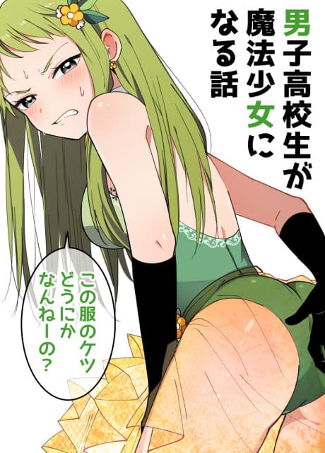 Danshi Koukousei ga Mahou Shoujo ni Naru Hanashi cover
