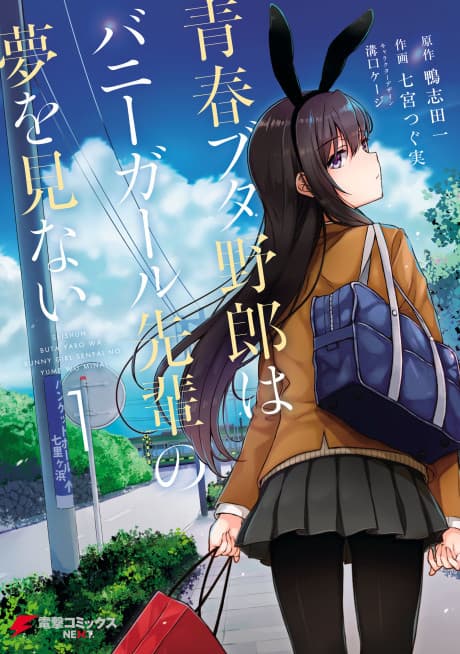 Rascal Does Not Dream of Bunny Girl Senpai cover