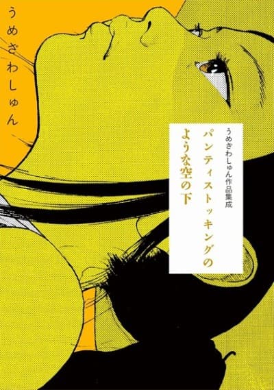 A Pantyhose Like World cover