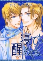 Netemo Sametemo cover