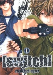 switch cover
