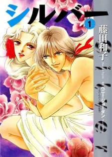 Silver cover