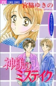 Snow Project cover