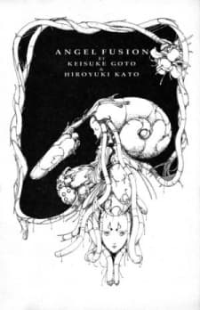 Angel Fusion cover