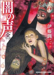 Voices in the Dark cover