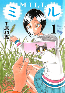Mill cover