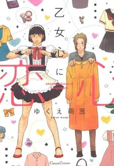 Otomegokoro ni Koigokoro cover
