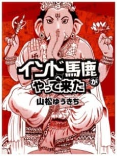 Stupid Guy Goes to India cover