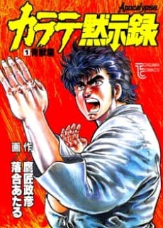 Karate Aplocalypse cover
