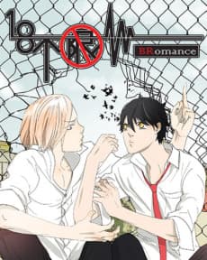 Bromance cover