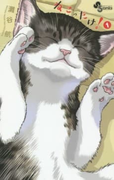 Cat + Crazy cover