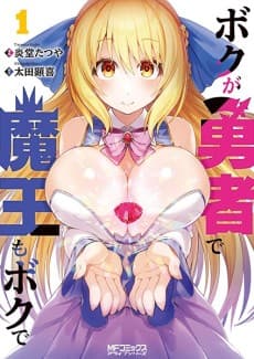 I'm the Hero, But the Demon Lord's Also Me cover