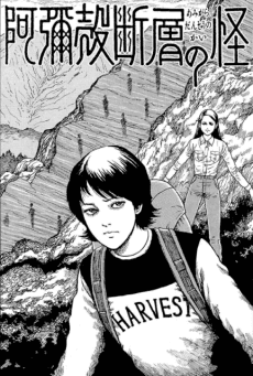 The Enigma of Amigara Fault cover