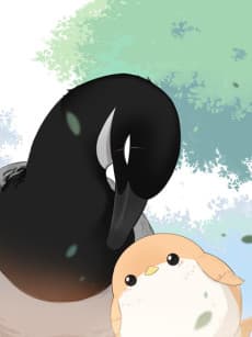 Nanfang De Niao He Beifang De Niao cover