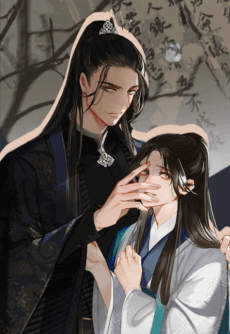 The Silent Concubine cover