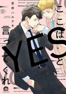 Please Say Yes cover