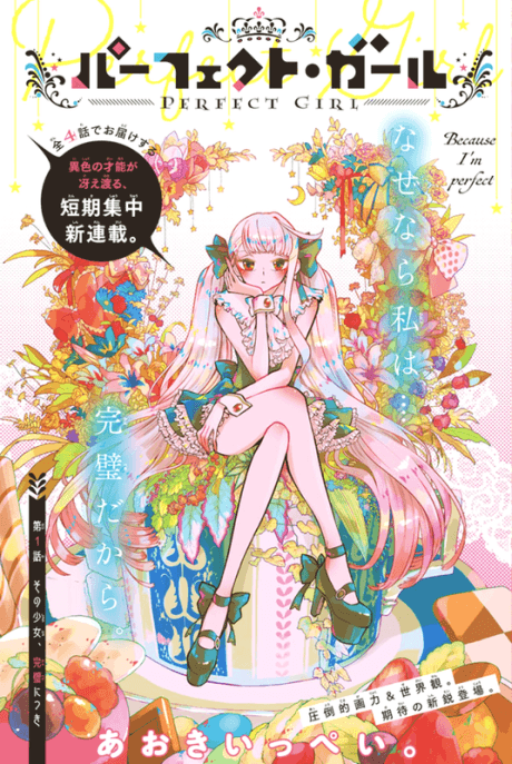 Perfect Girl cover