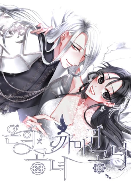 Beauty and the Raven cover