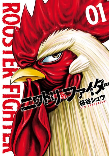 Rooster Fighter cover