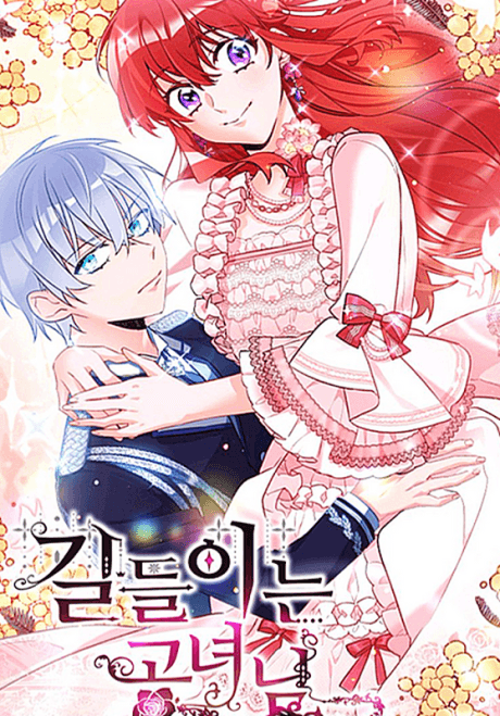 The Lady Tames the Swordmaster cover