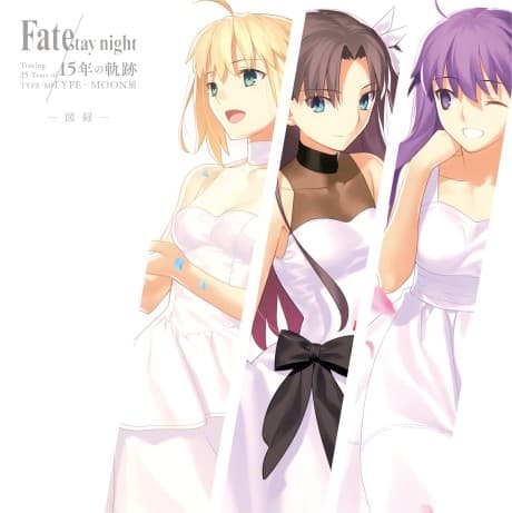 Fate/stay night: 15-nen no Kiseki TYPE-MOON Ten cover