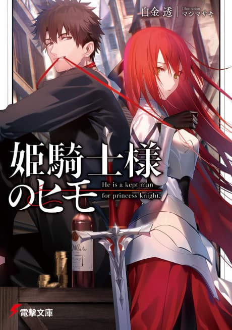 The Kept Man of the Princess Knight cover