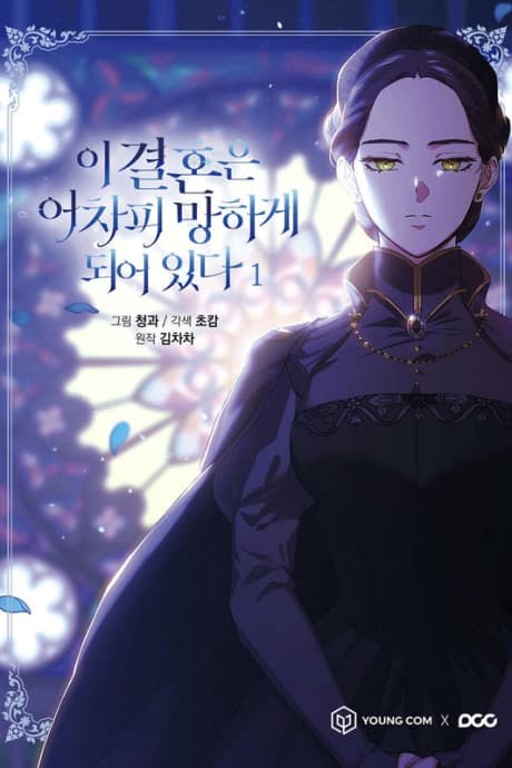 The Broken Ring: This Marriage Will Fail Anyway cover