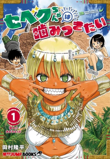 Sebeku-chan wa Kamitsu Kitai cover