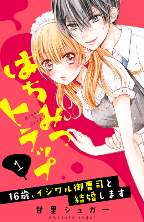 Hachimitsu Trap cover