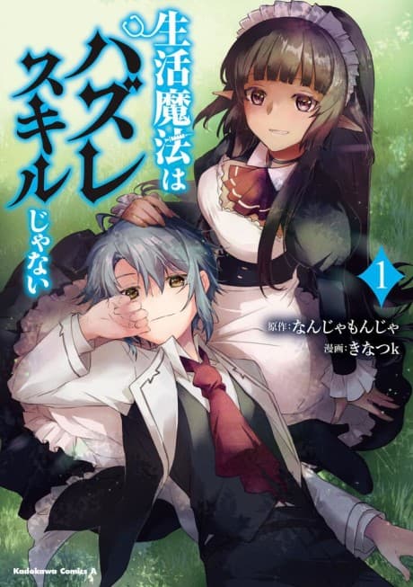 Seikatsu Mahou wa Hazure Skill ja Nai cover