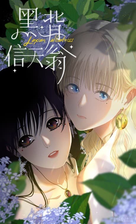 Hei Bei Xingtianong cover