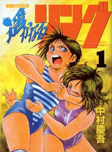 Kakutou Shoujo Densetsu Harukanaru Ring cover