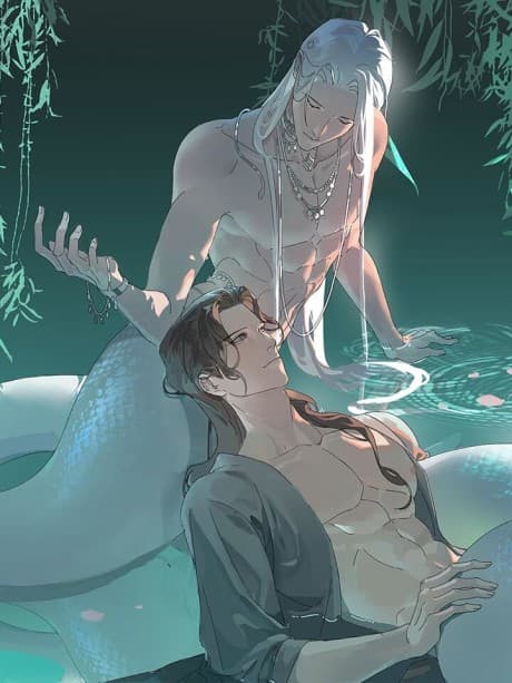 She Yao Yao Chu Tao cover