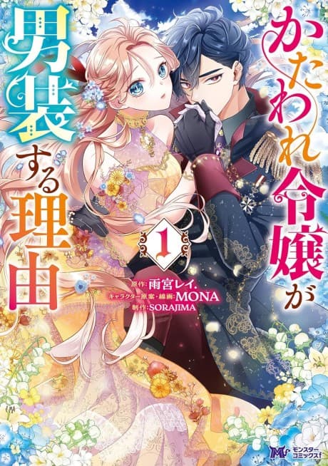 The Reason for the Twin Lady’s Disguise cover