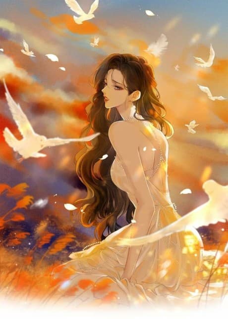 Shao cover