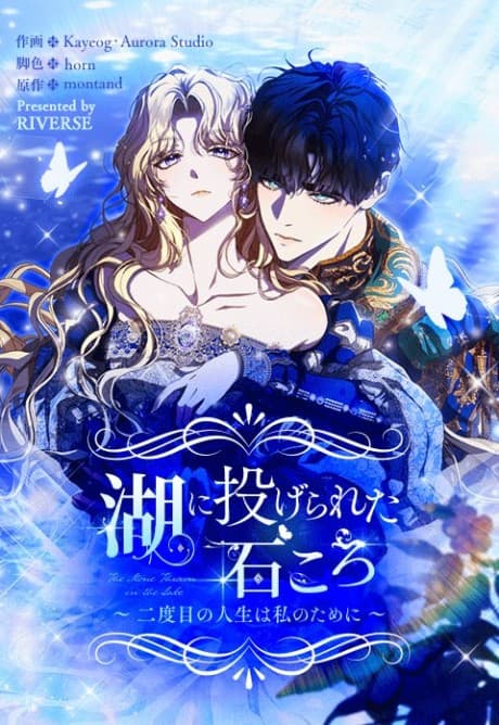 The Stone Thrown in the Lake cover