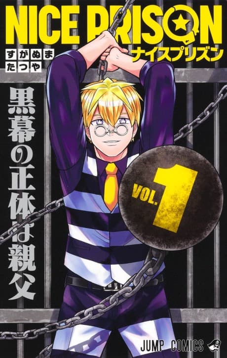Nice Prison cover