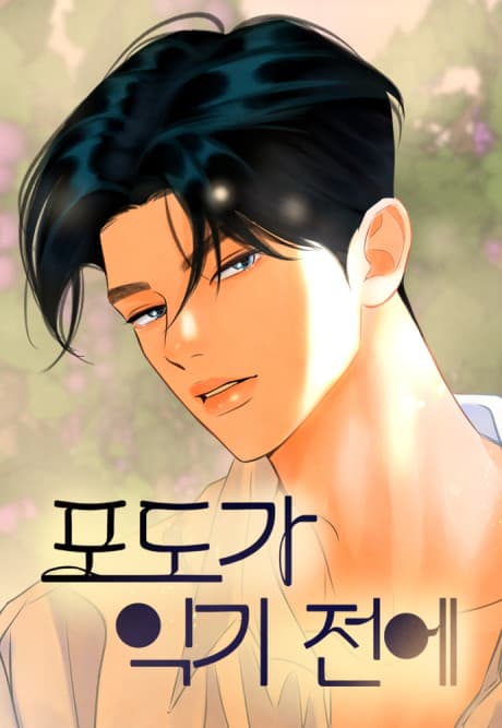 Before the Grapes Ripen cover