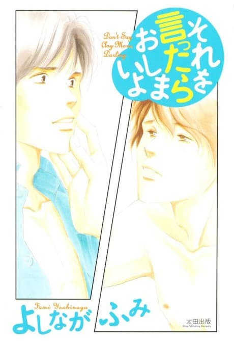 Don't Say Anymore, Darling cover