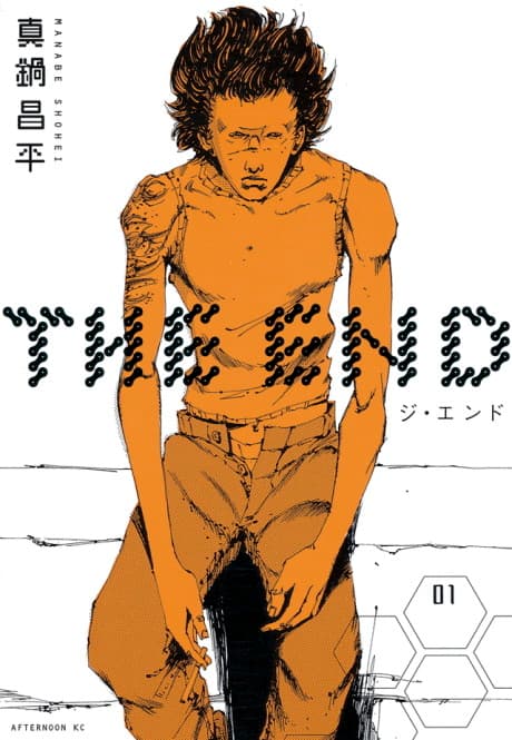 Dead End cover