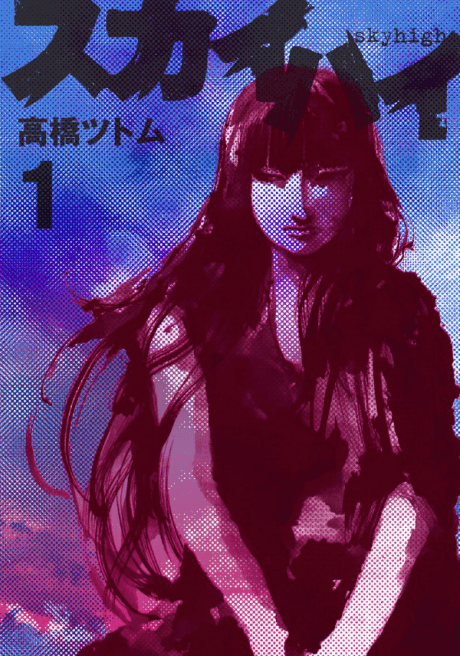 Skyhigh cover