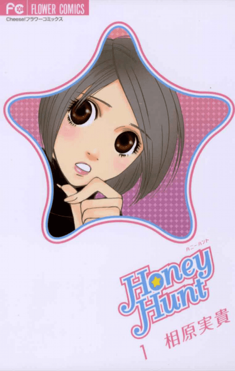 Honey Hunt cover