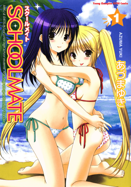 School Mate cover