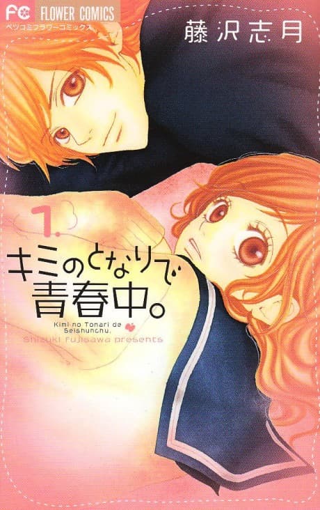 Kimi no Tonari de Seishunchu cover