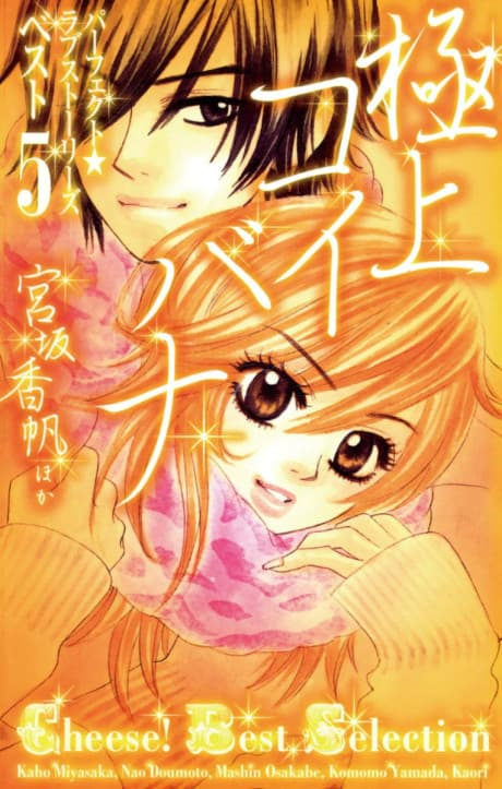 Gokujou Koibana: Perfect Love Stories Best 5 cover