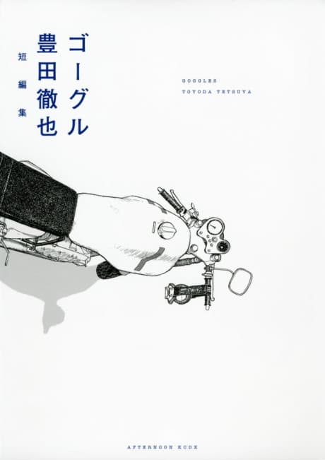 Goggles cover